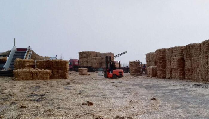 汽車天然氣充氣機
